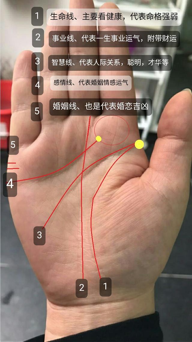 心脏掌纹图片大全男性面相_从面相上看一个人心脏好不好_7种面相是心脏病